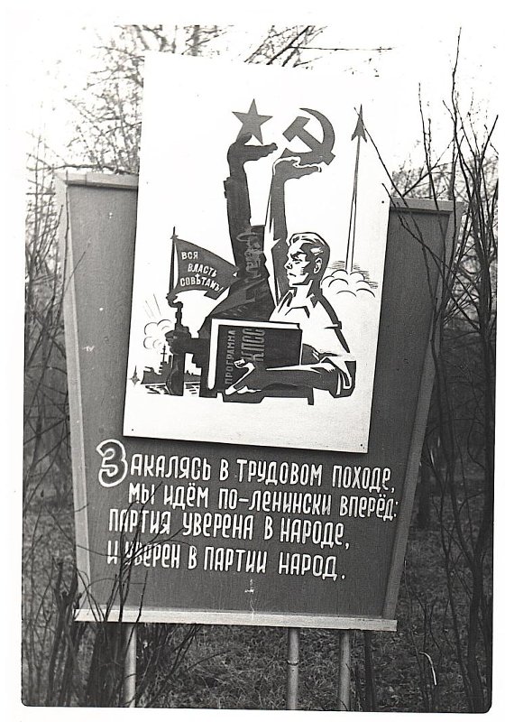 3551723.jpg