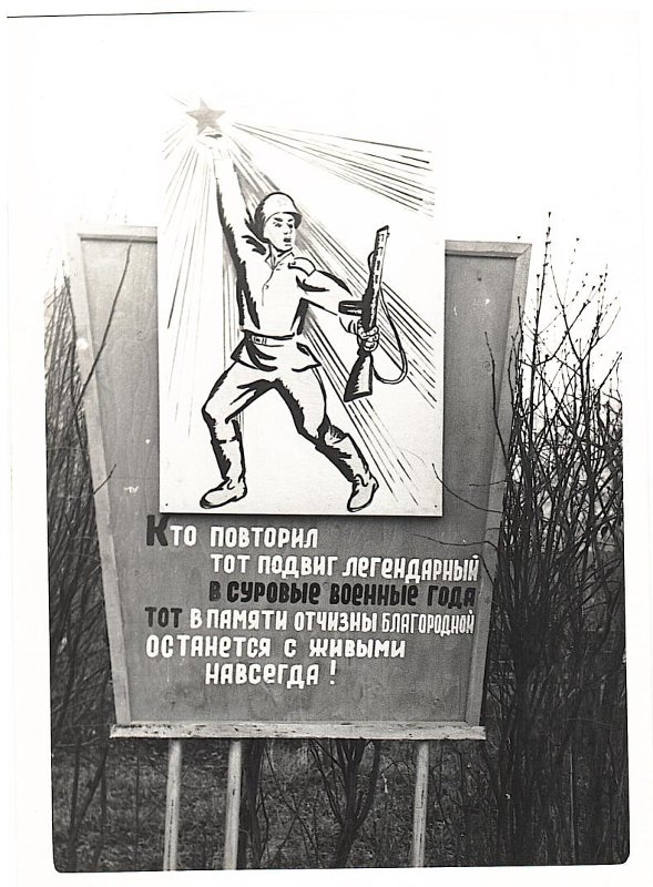 3552001.jpg