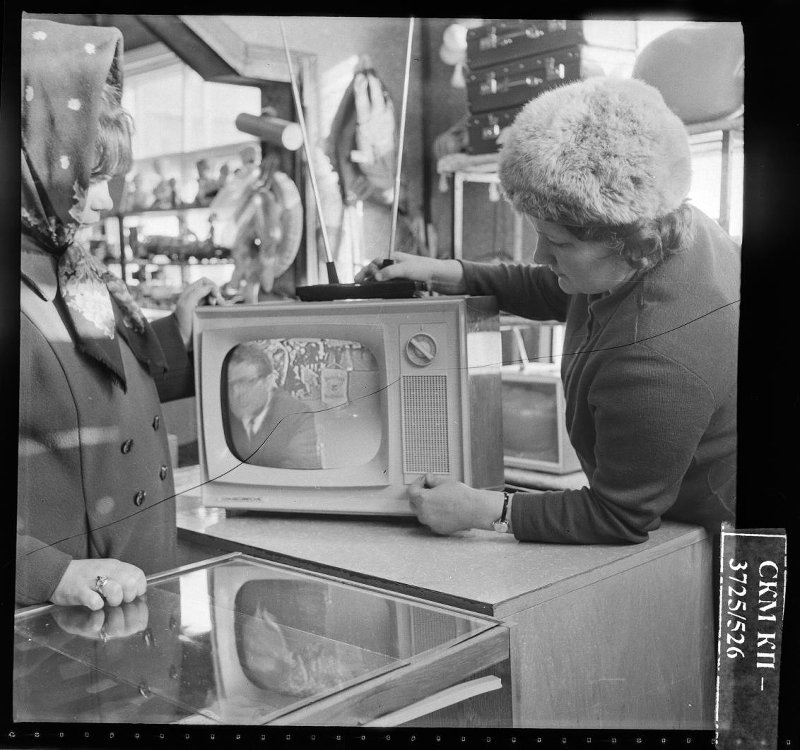 3844577.jpg