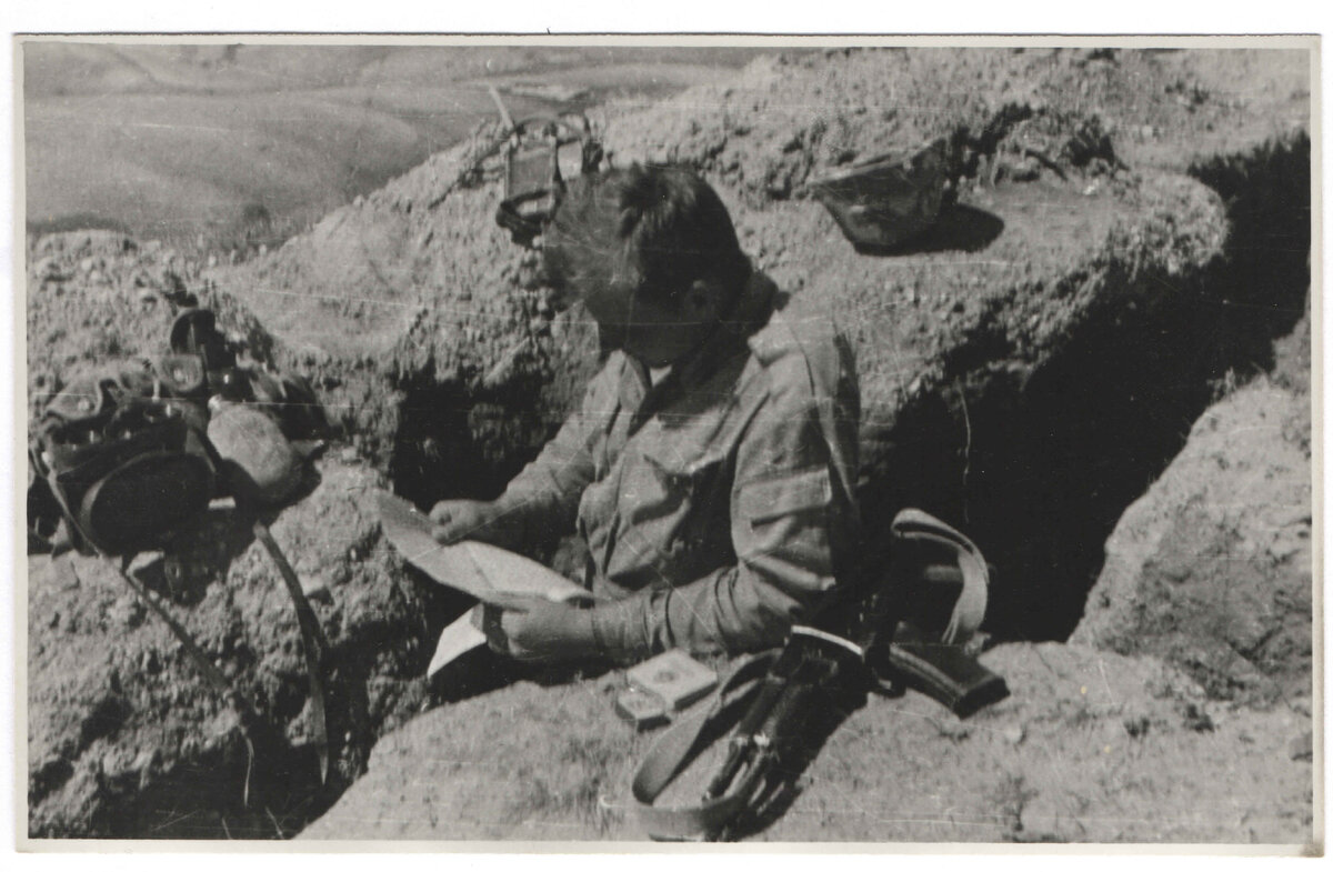 МШ3140 Ф3493.jpg