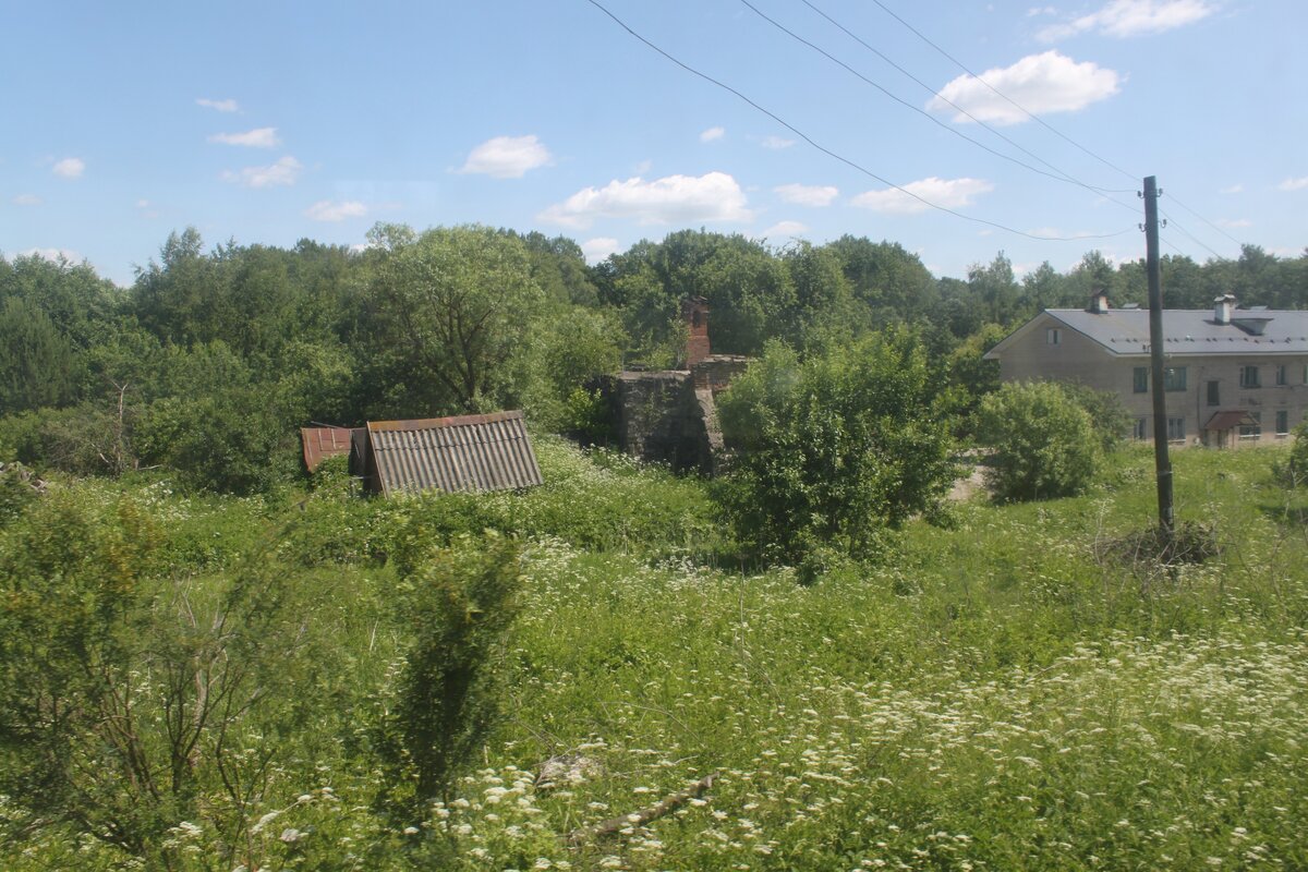 IMG_2615.JPG
