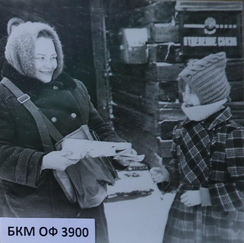 3963962.jpg