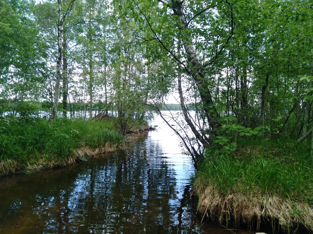20230624_123752.jpg