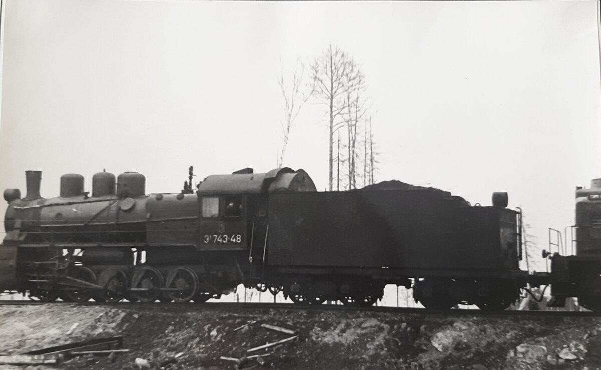 3009-6.jpg