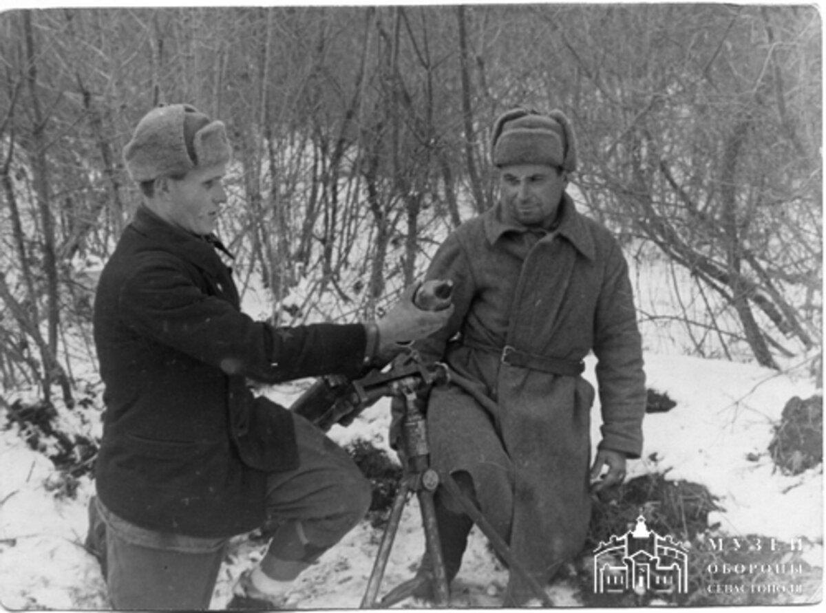 5cbc1ace-262d-11ee-badc-00155d126b31.jpg