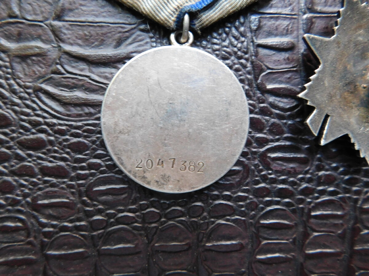 DSCN0202.JPG