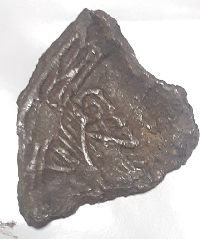 CM230826-183024005.jpg