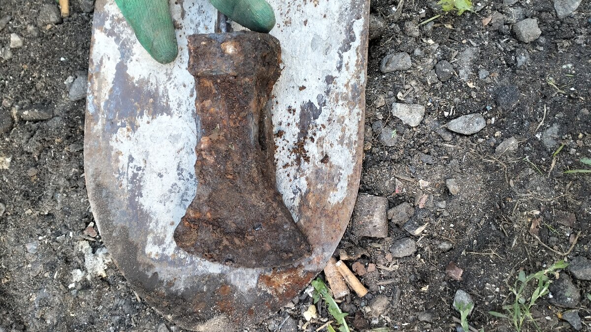 IMG20230810105705.jpg