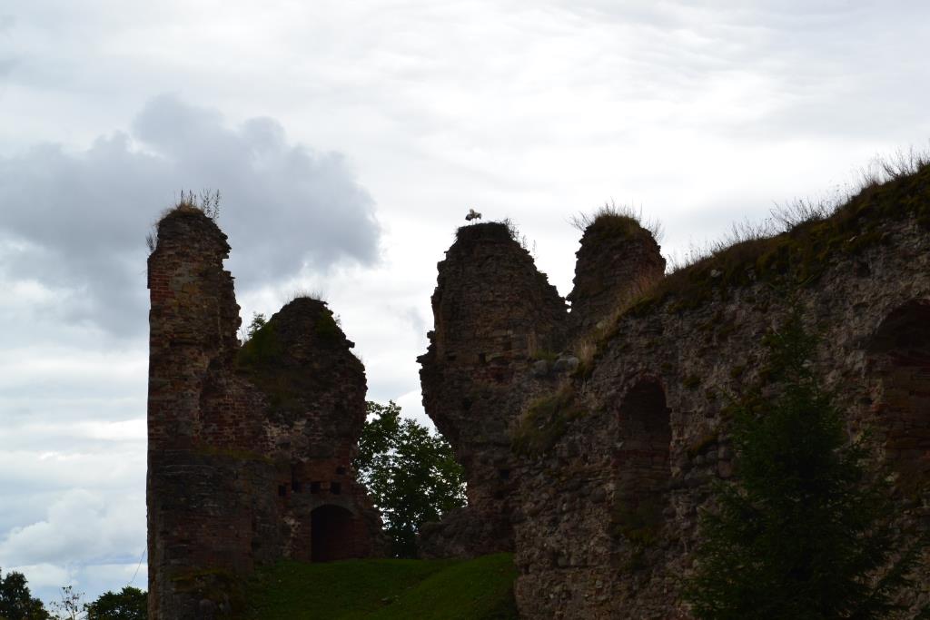DSC_2124.JPG