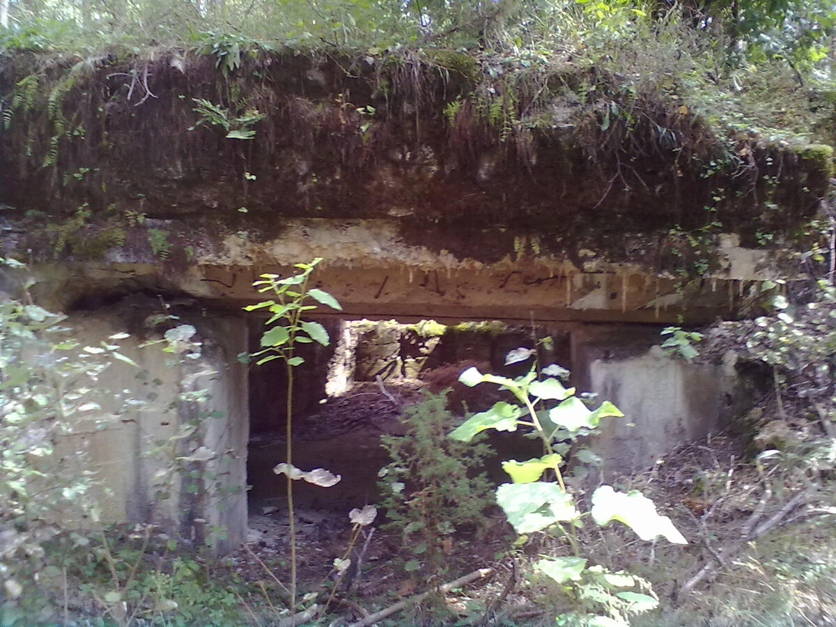 31082013658.jpg