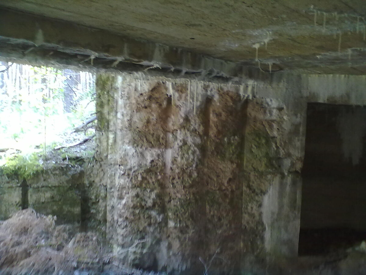 31082013657.jpg
