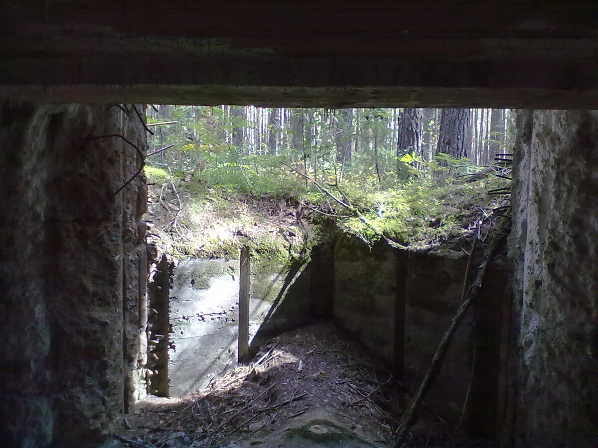 31082013659.jpg