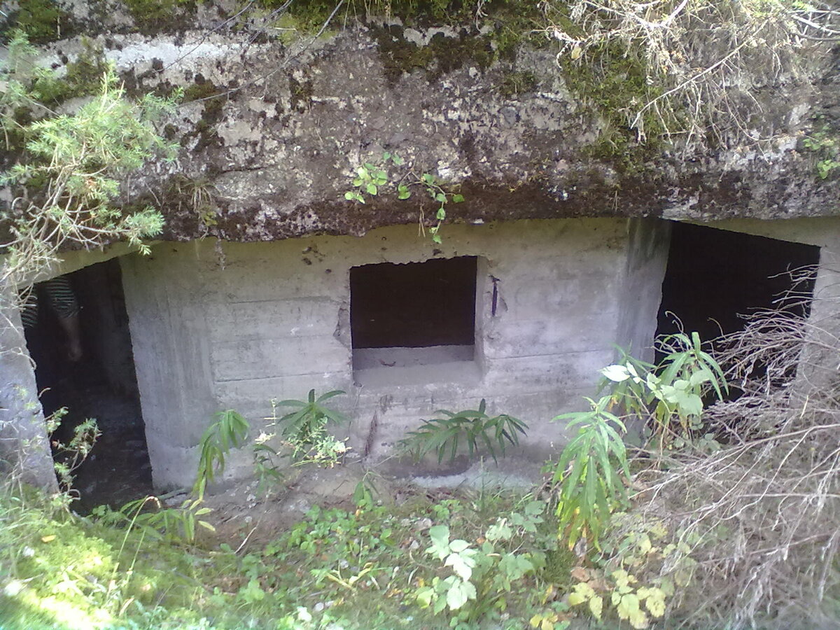 31082013662.jpg