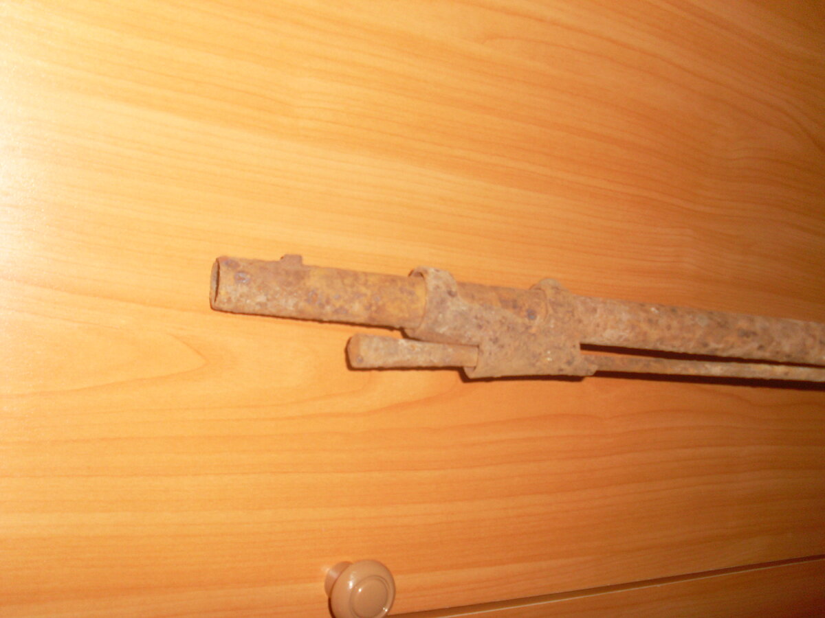 SL370878.JPG
