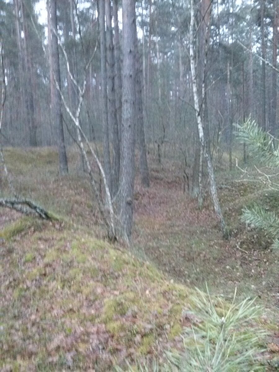 CAM00425.jpg