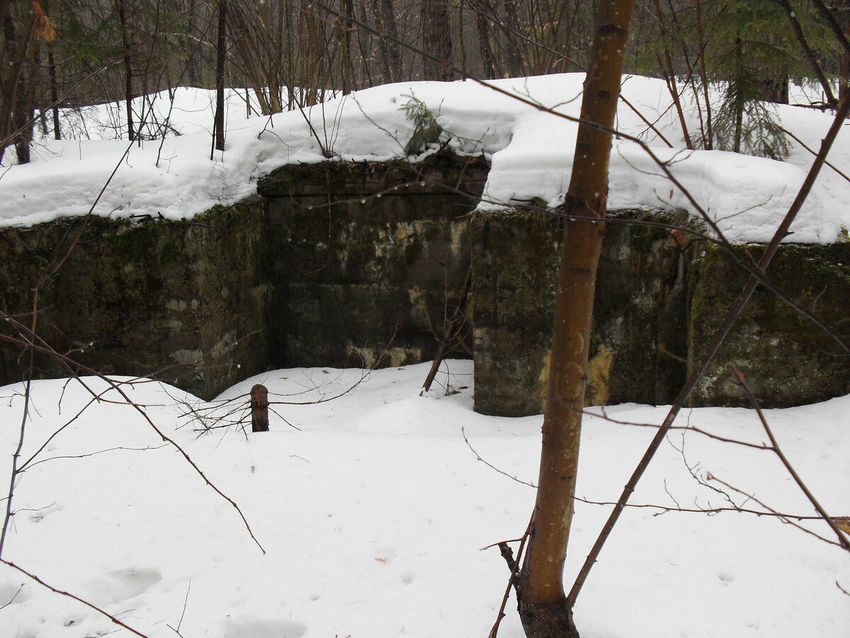 SDC11760.JPG