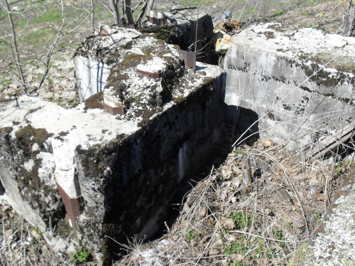 SDC11807.JPG