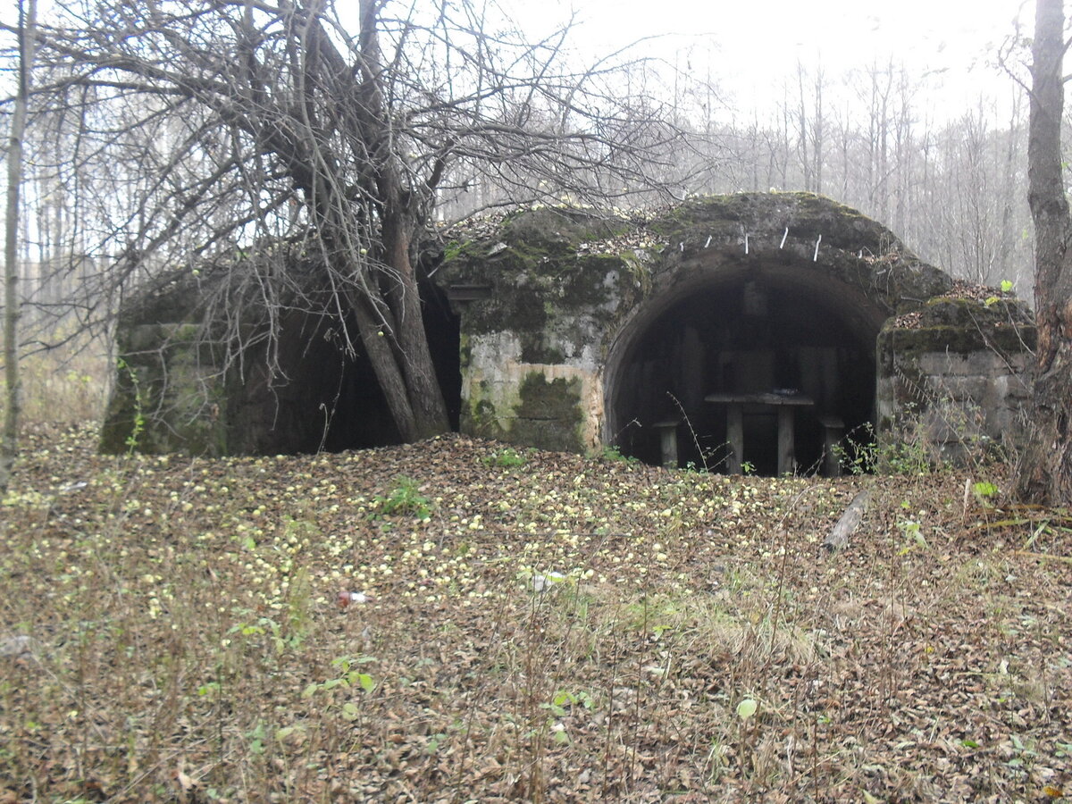 SDC12197.JPG