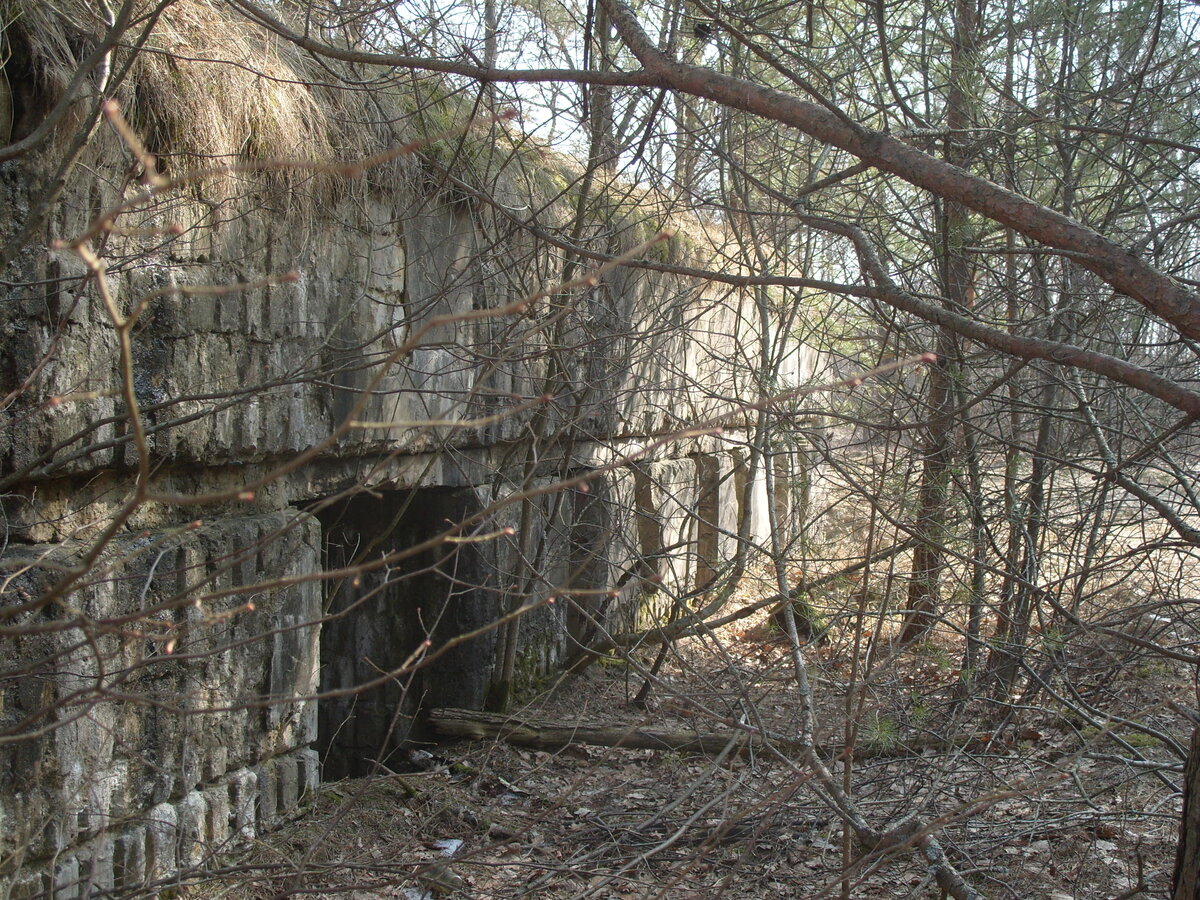 S1058571.JPG