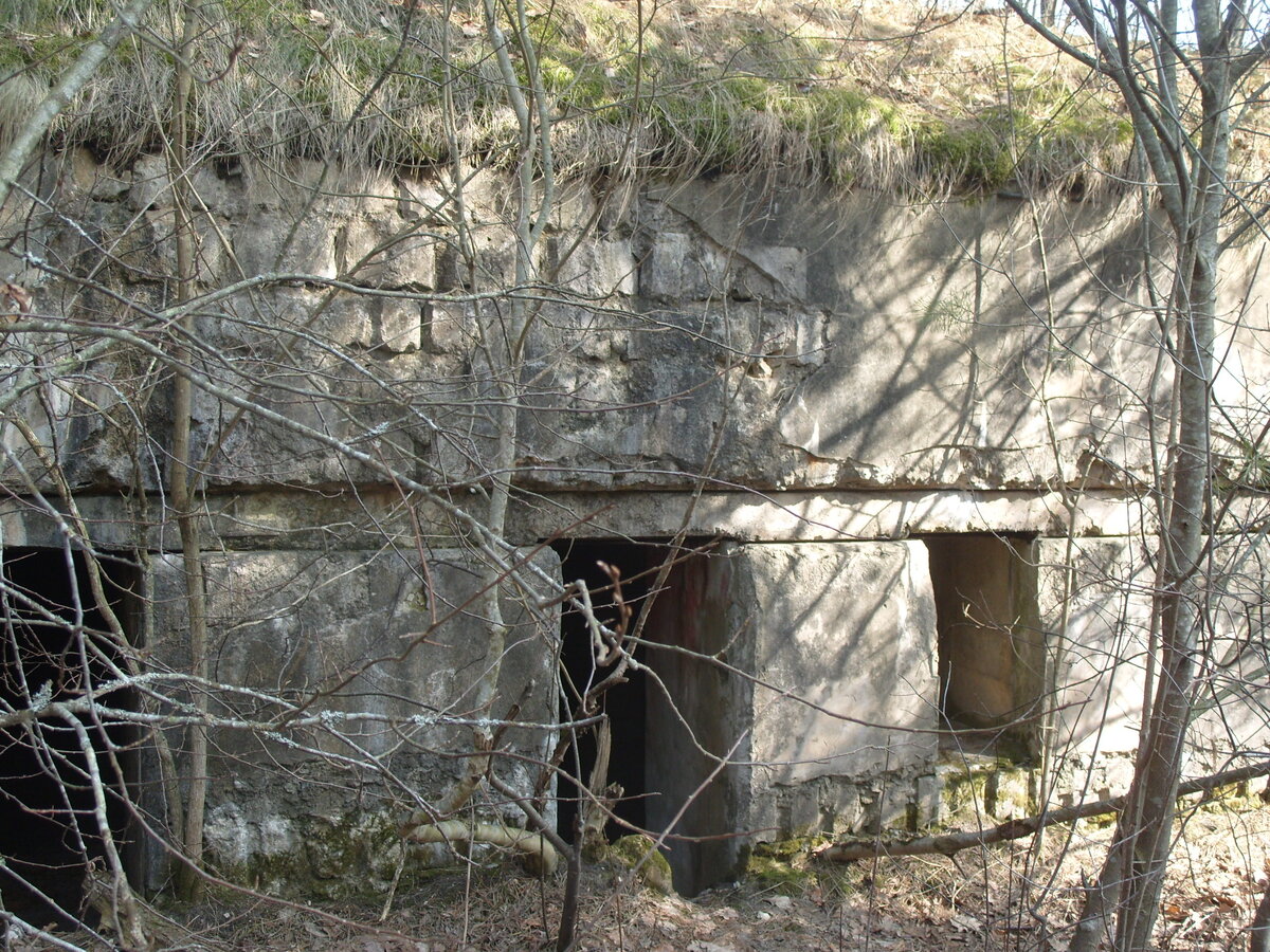 S1058572.JPG