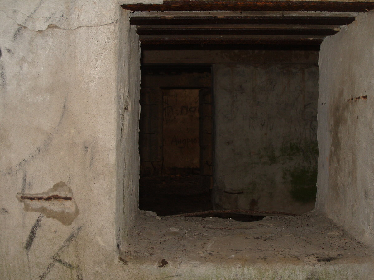S1058575.JPG