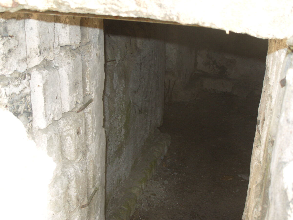 S1058577.JPG