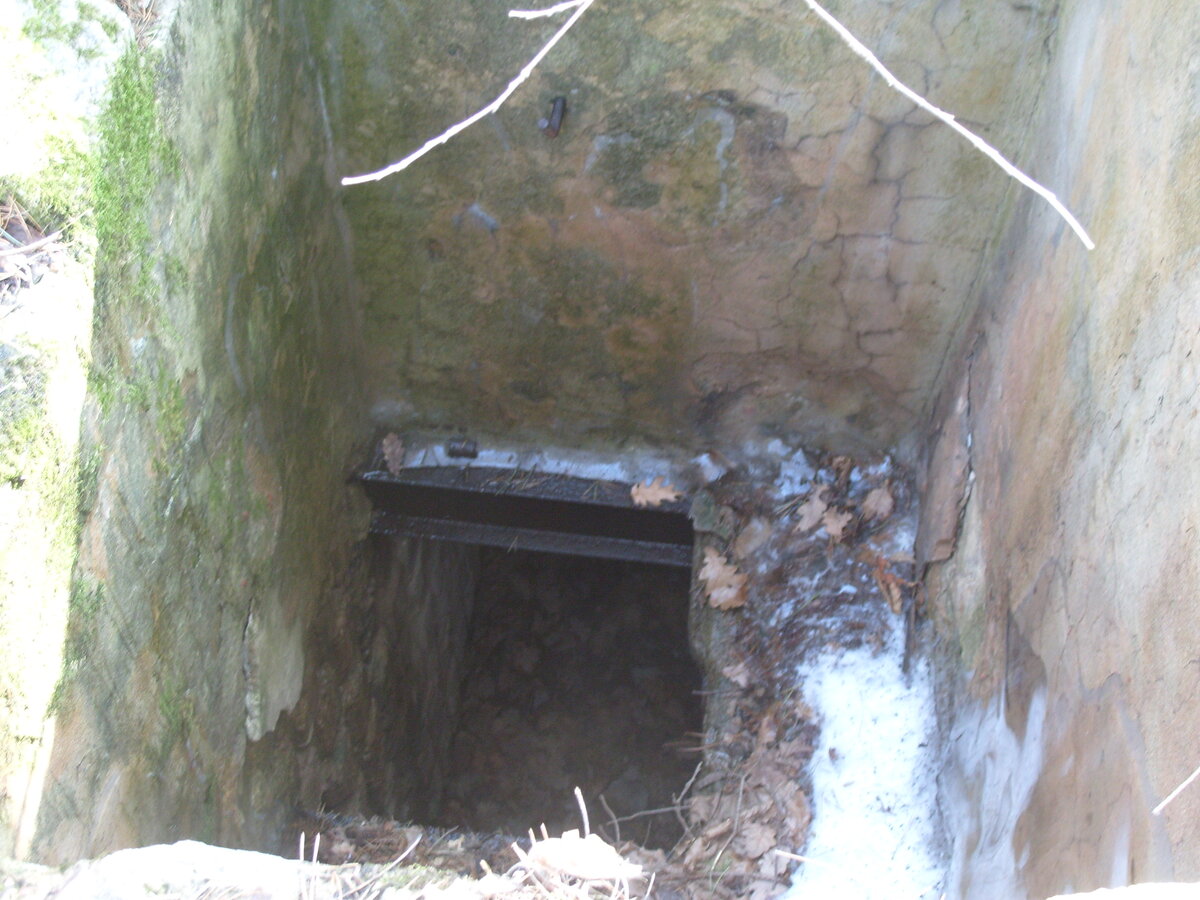 S1058579.JPG