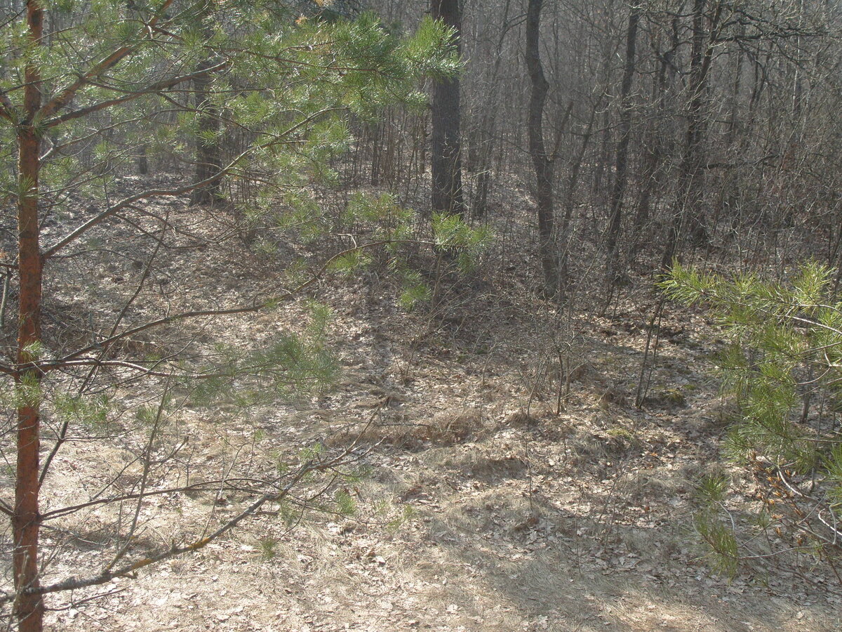 S1058584.JPG