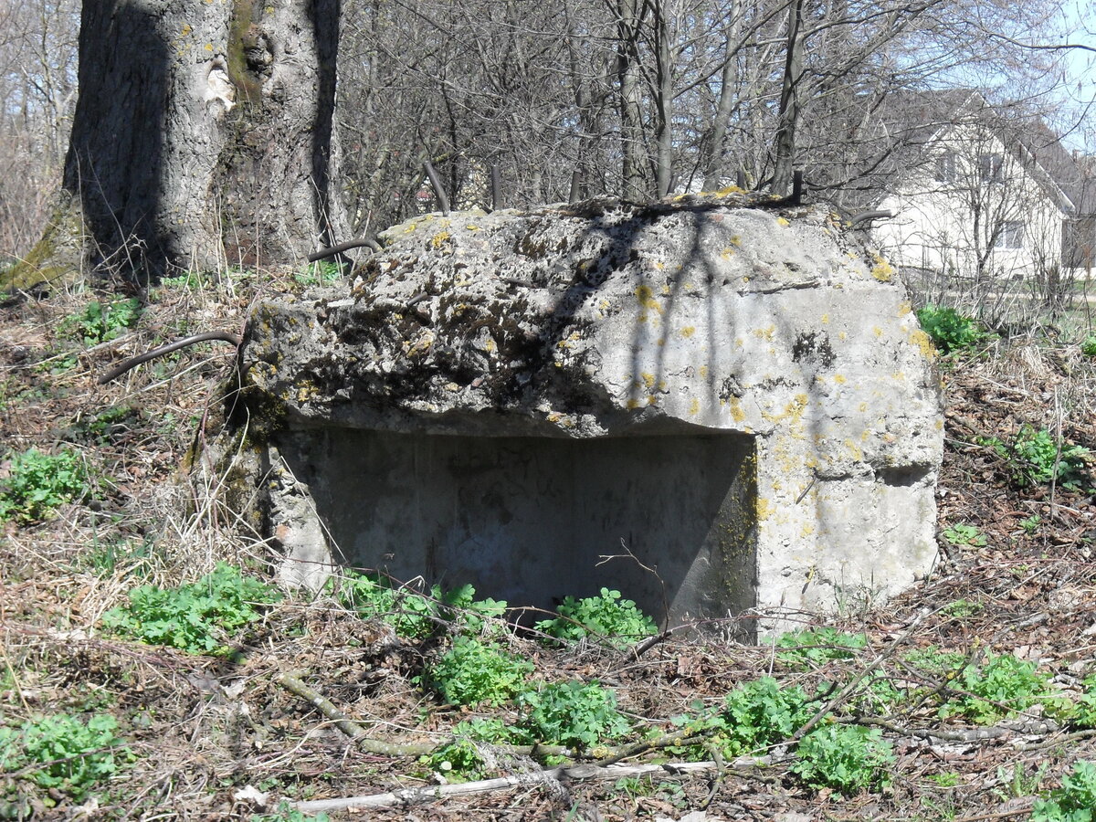 SDC11816.JPG