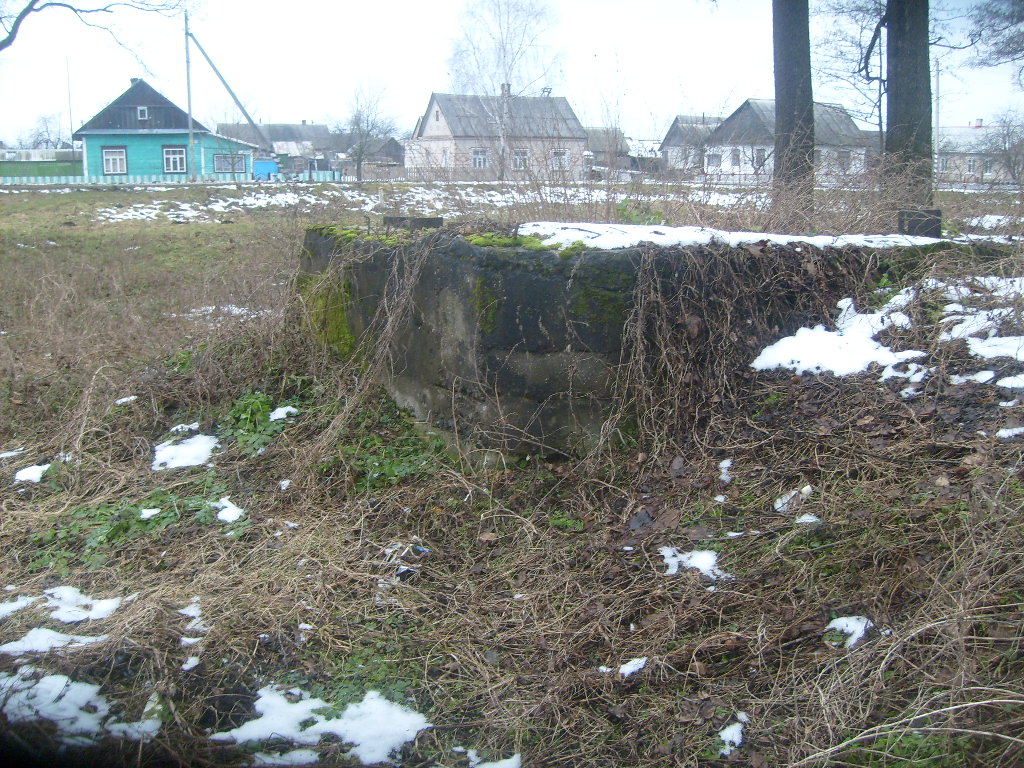 S6306919.JPG