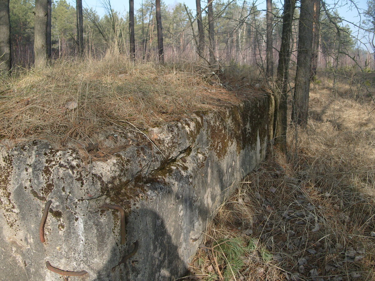 S1058558.JPG