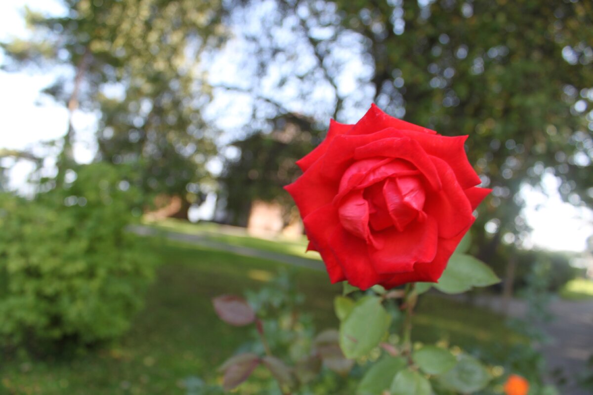 IMG_3381.JPG