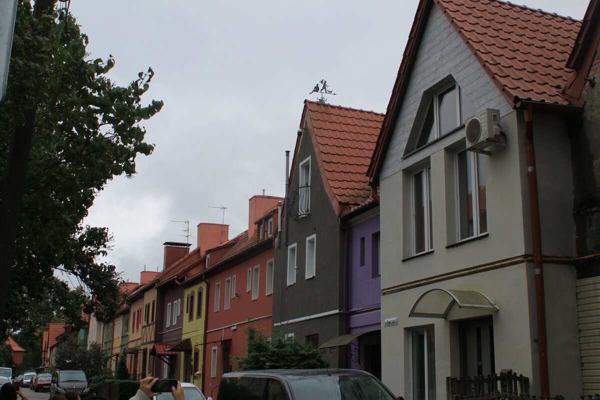 IMG_3539.JPG
