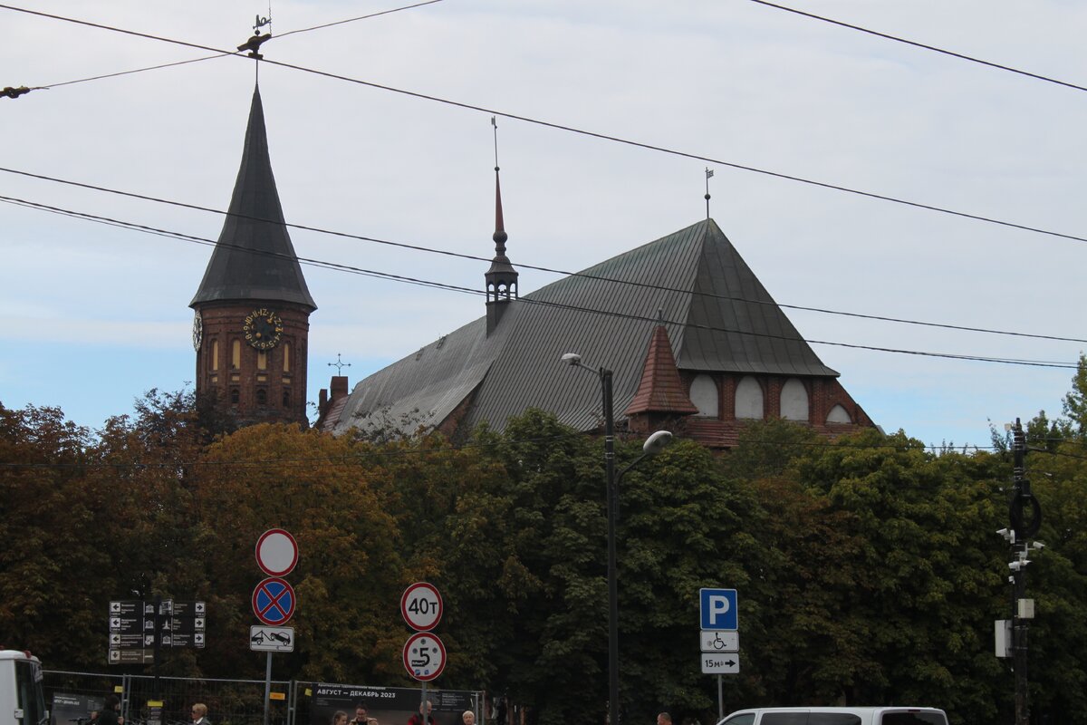 IMG_3589.JPG