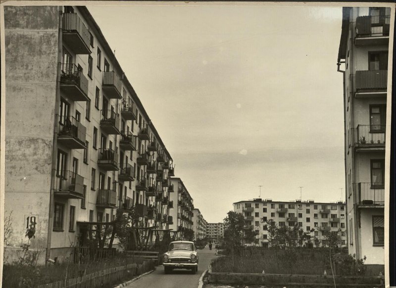 4761278.jpg
