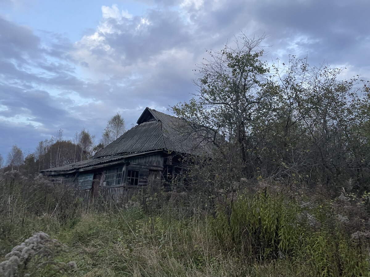 IMG_1537.jpeg