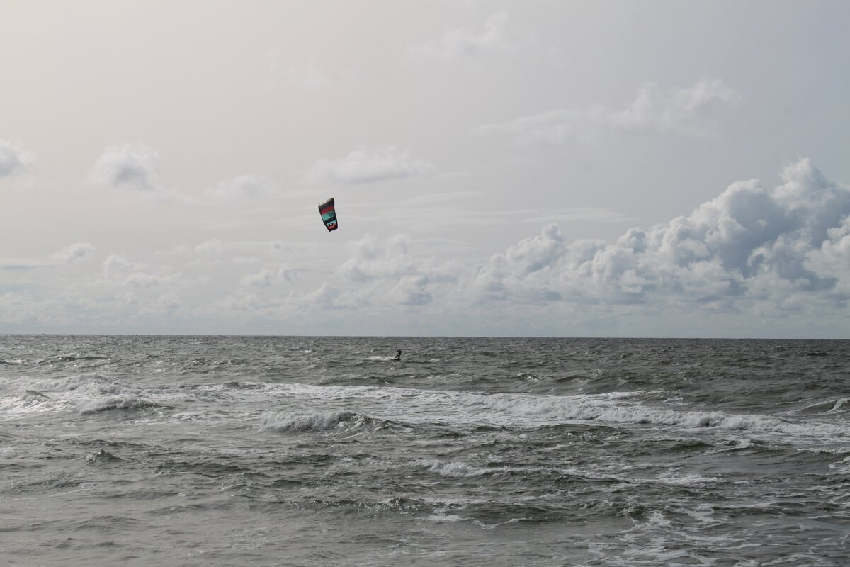 IMG_3776.JPG