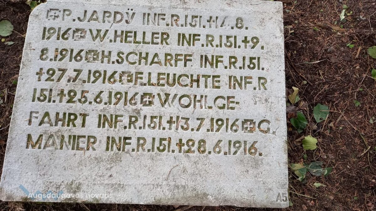 Abeliski-3-1236x0-c (1).jpeg