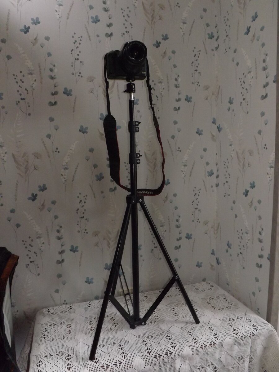 DSCF3916.JPG
