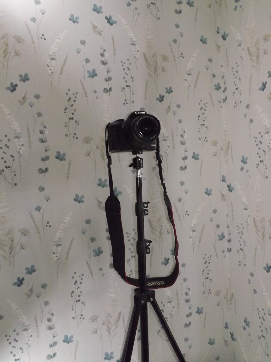 DSCF3917.JPG