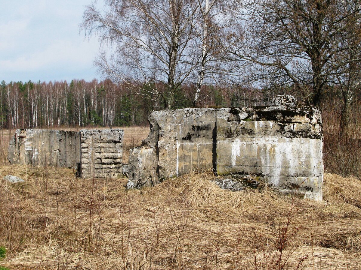 деревня Милути и окреснности апрель 2010г. 021.jpg