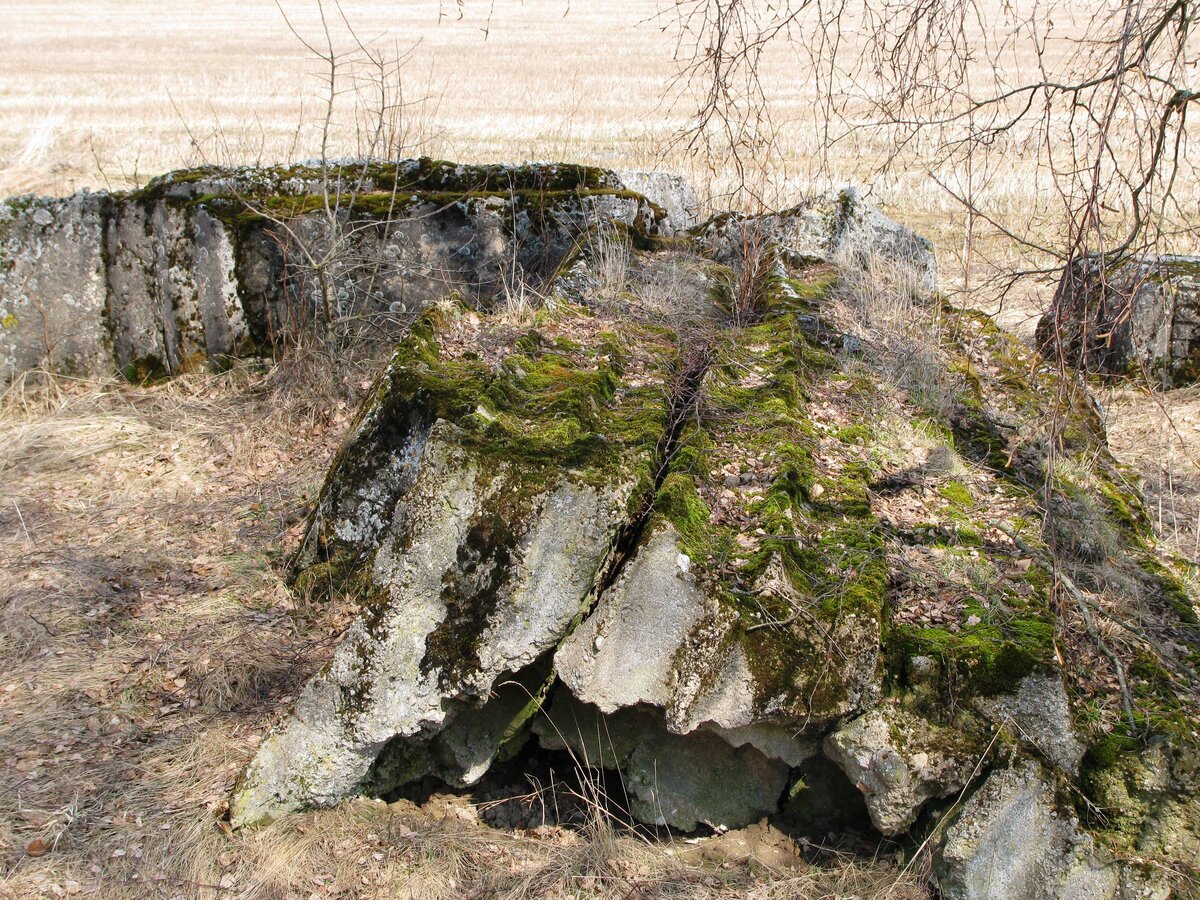 деревня Милути и окреснности апрель 2010г. 031.jpg