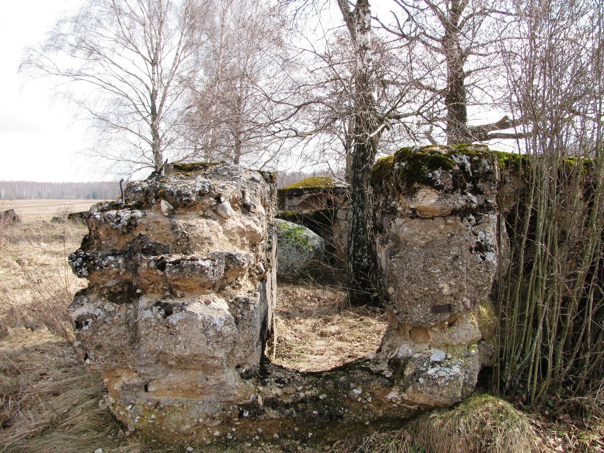 деревня Милути и окреснности апрель 2010г. 033.jpg