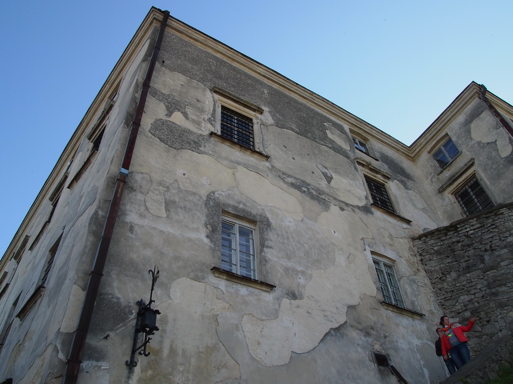 P1010176.jpg