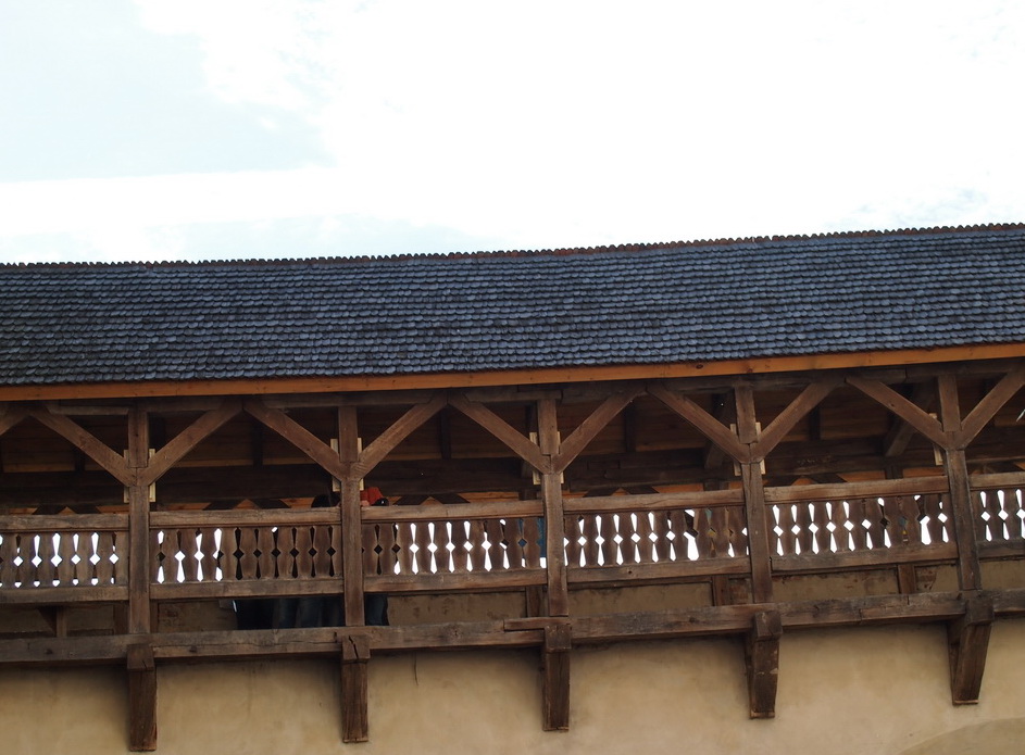 P1010185.jpg