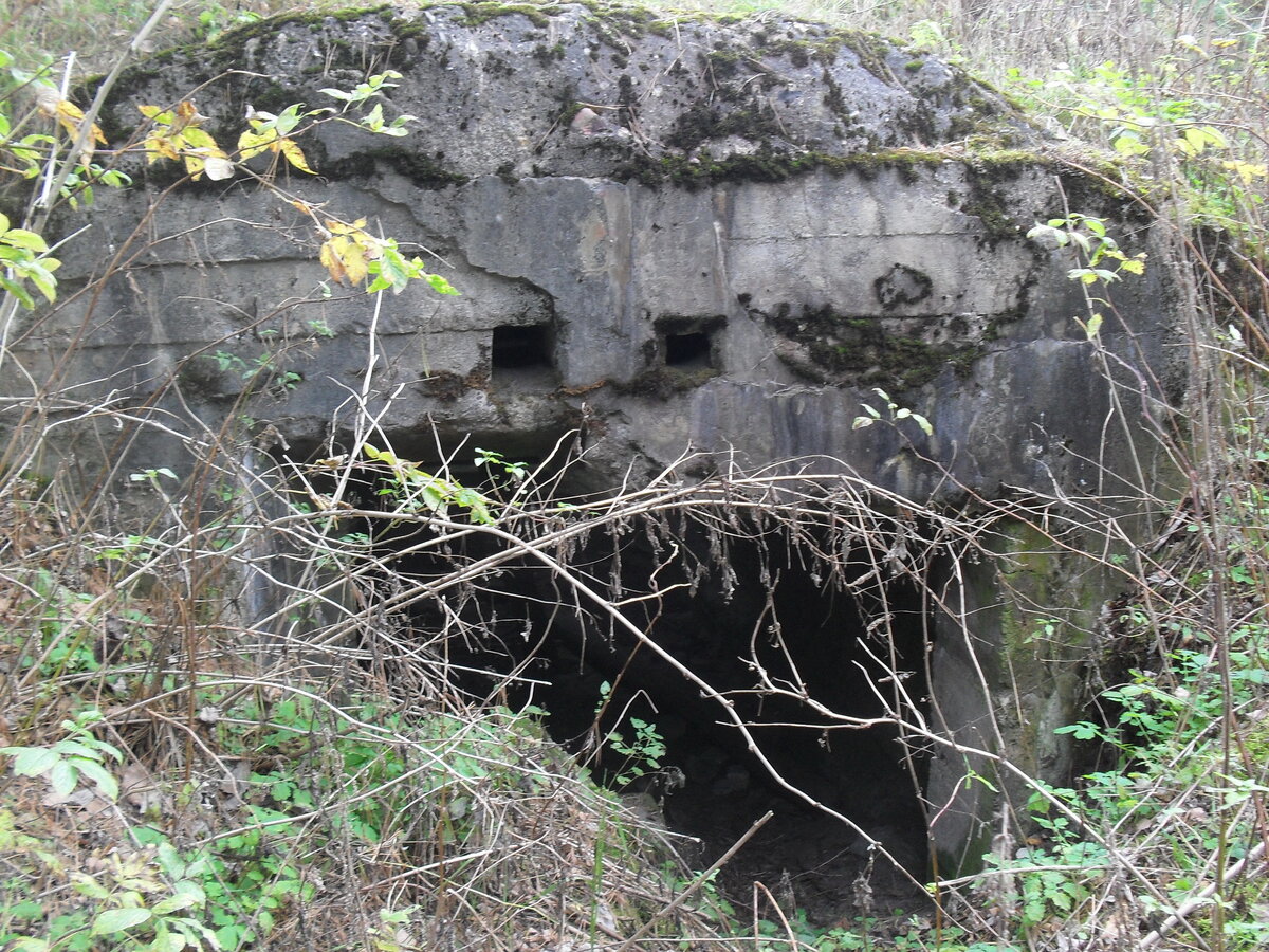 SDC12203.JPG