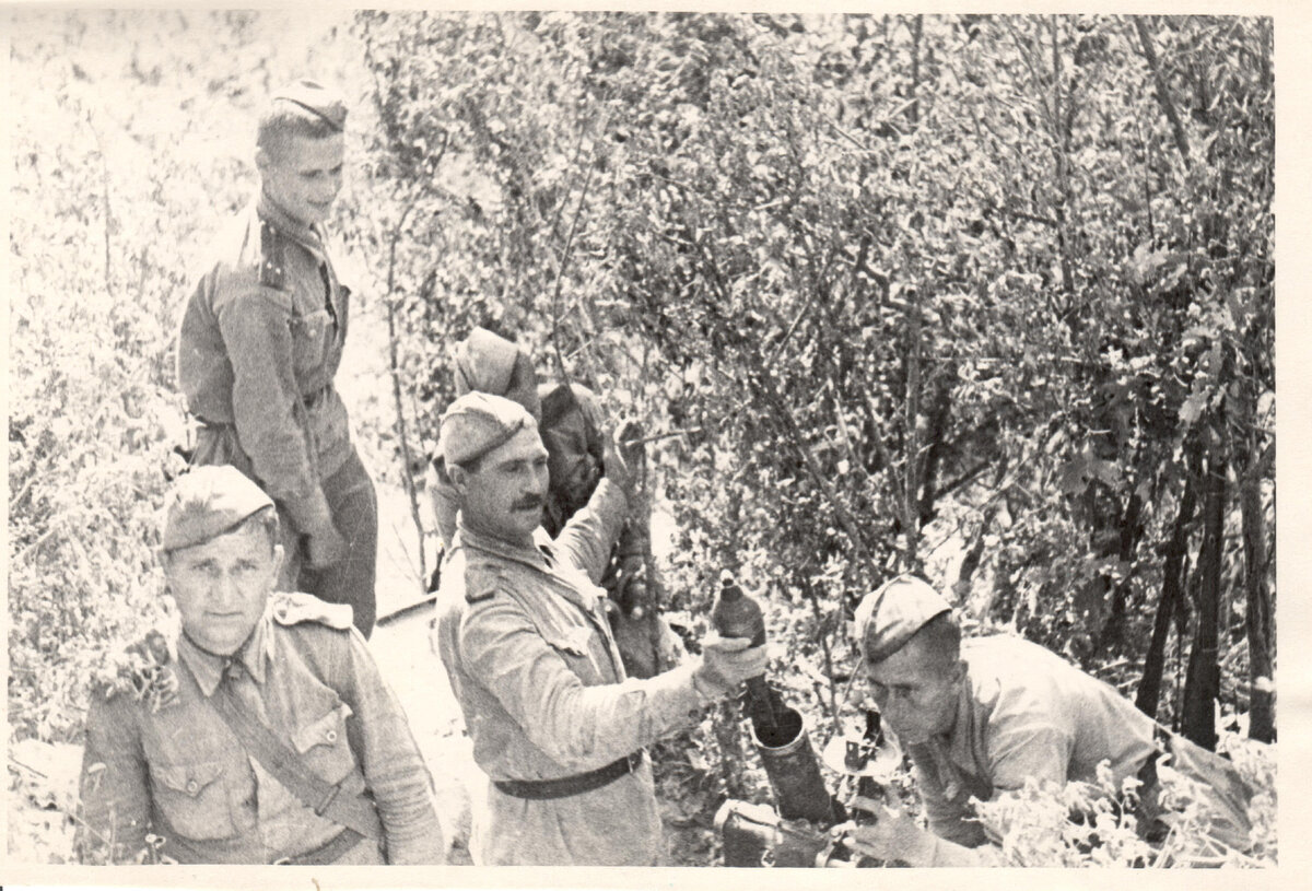 ГКМ 2549.23.jpg