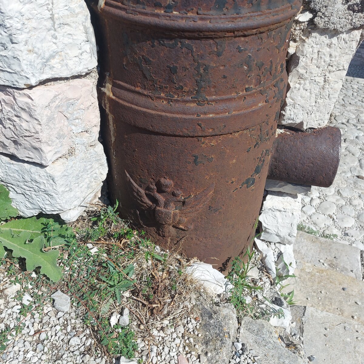 20230909_111834.jpg