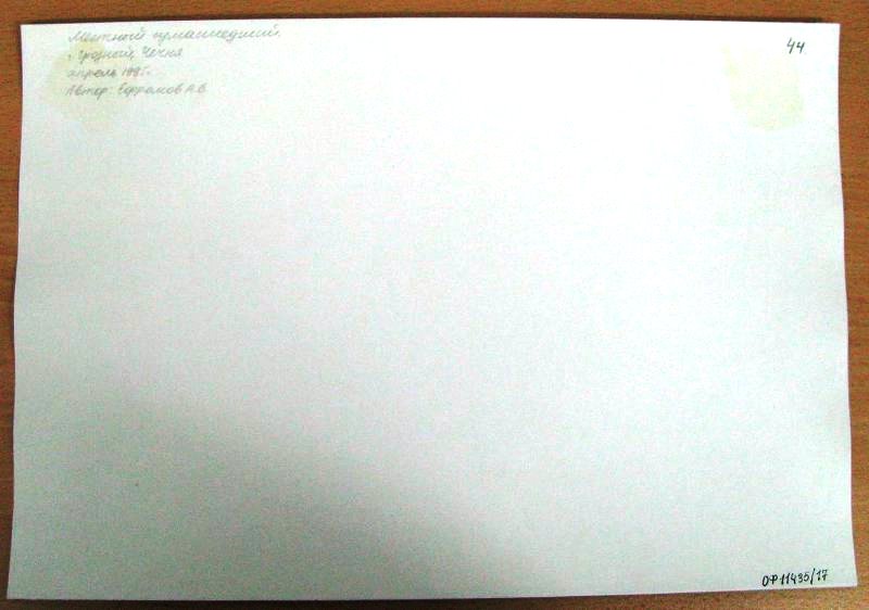 8147351.jpg