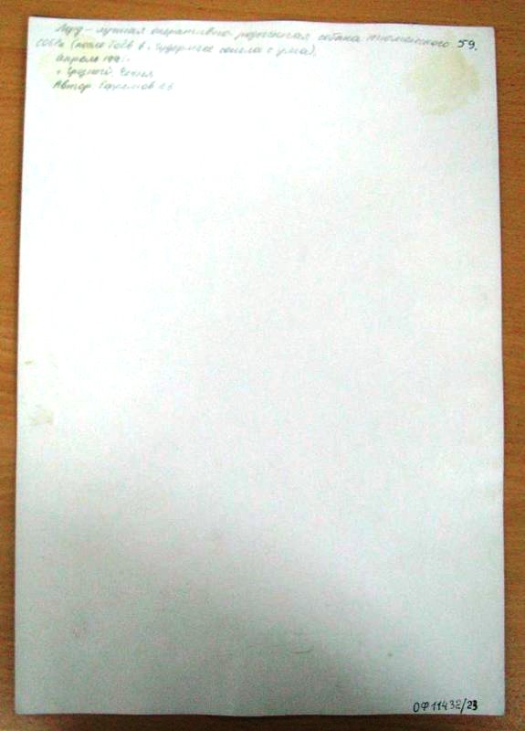 8148456.jpg